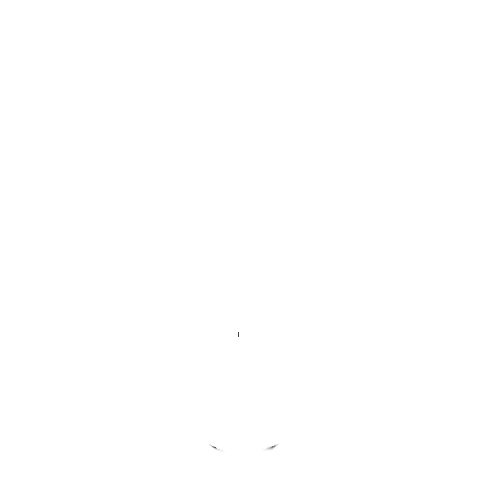 nordlichter-messe logo