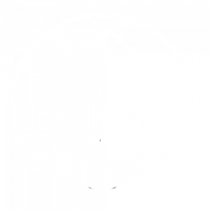 Nordlichter-Messe Julia Fischer